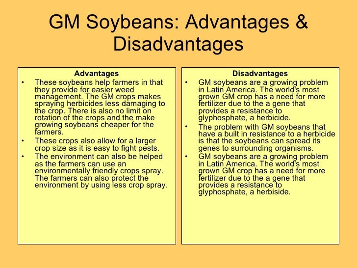 bt crops advantages and disadvantages genetically modified food advantages and disadvantages essay ielts